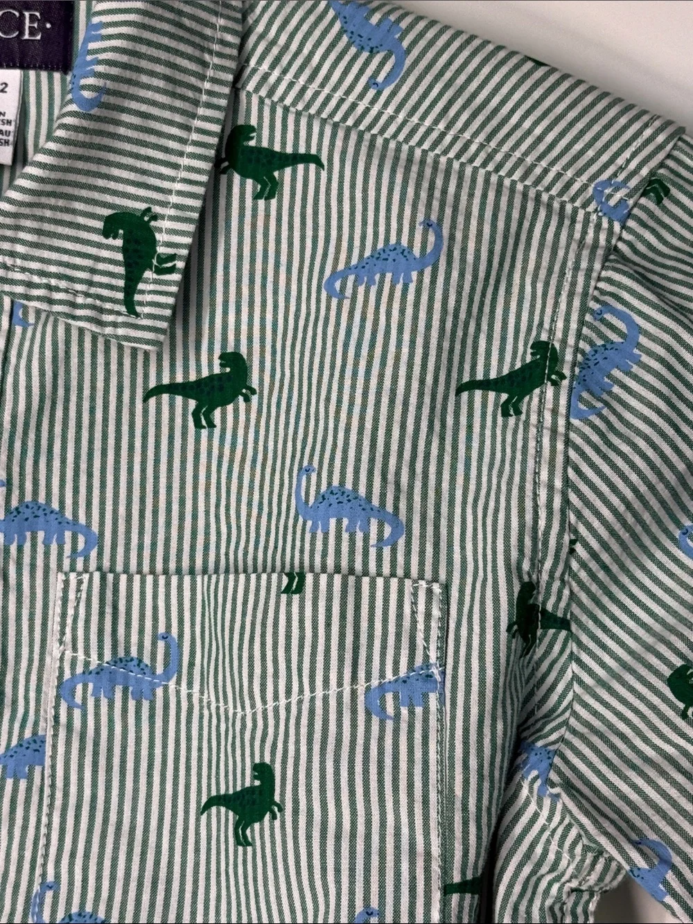 The Children's Place Green & Blue Striped Button-Down Shirt with Dino Print